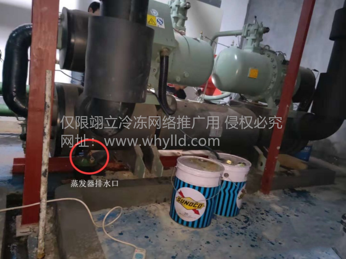 微信截图_20240207083030_副本.png